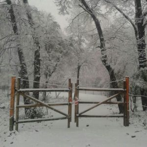 Venta Hermosa Parcela a 11 km de las Termas de Chillan full