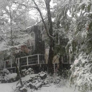 Venta Hermosa Parcela a 11 km de las Termas de Chillan full
