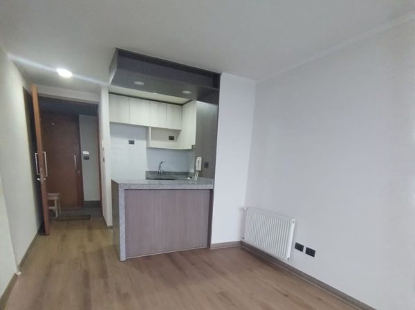 Arriendo Hermoso Depto 1 dormitorio Pleno Centro de Concepción