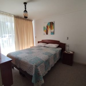Arriendo Depto Amoblado 2 dormitorios en Huertos Familiares, San pedro de la Paz full