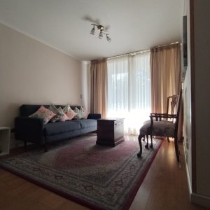 Arriendo Depto Amoblado 2 dormitorios en Huertos Familiares, San pedro de la Paz full