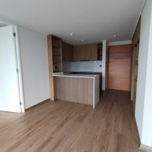 Arriendo Excelente Depto Mariposa en Pleno Centro de Concepción full