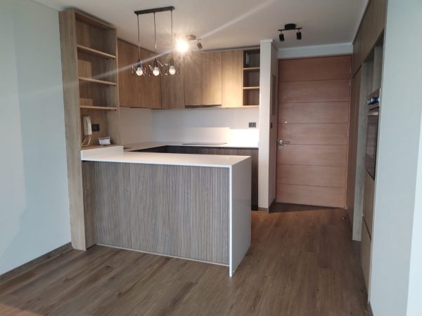 Arriendo Excelente Depto Mariposa en Pleno Centro de Concepción