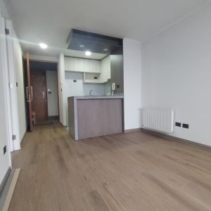 Arriendo Hermoso Depto 1 dormitorio Pleno Centro de Concepción full