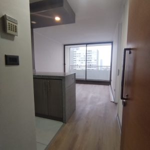 Arriendo Hermoso Depto 1 dormitorio Pleno Centro de Concepción full