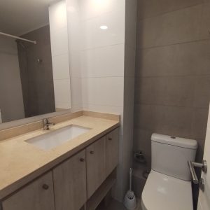 Arriendo Hermoso Depto 1 dormitorio Pleno Centro de Concepción full