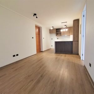 Arriendo depto Nuevo, 1 dormitorio Pleno Centro Concepción full